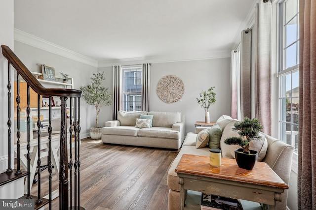 52 Olivia Way, Chesterfield, NJ 08515 - living room featuring crown molding, wood finished floors, baseboards, and stairs