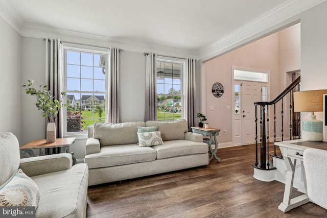 52 Olivia Way, Chesterfield, NJ 08515 - living area featuring crown molding, dark wood-style flooring, healthy amount of natural light, stairway, and baseboards