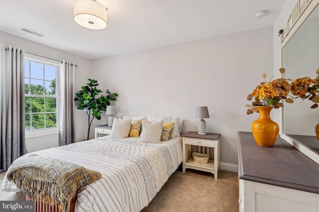 52 Olivia Way, Chesterfield, NJ 08515 - carpeted bedroom with baseboards