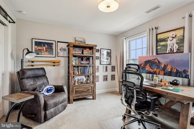 52 Olivia Way, Chesterfield, NJ 08515 - office featuring carpet floors and baseboards