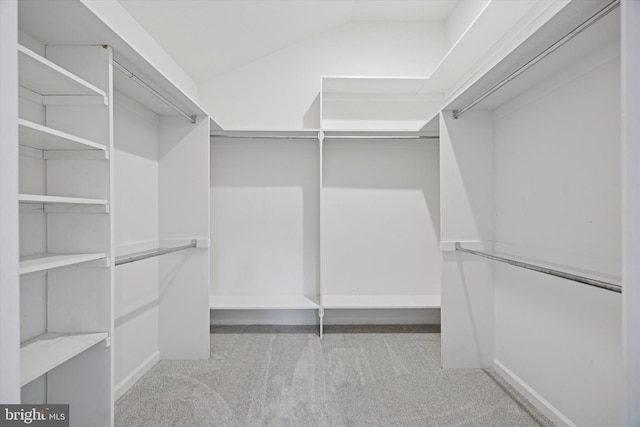 1220 Wendover Rd, Bryn Mawr, PA 19010 - walk in closet featuring carpet floors and vaulted ceiling