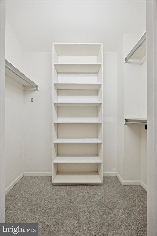 1220 Wendover Rd, Bryn Mawr, PA 19010 - spacious closet featuring carpet