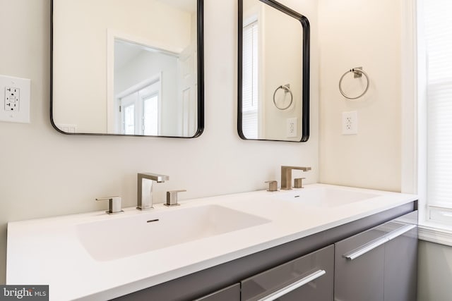 bathroom with a sink, double vanity, and a wealth of natural light