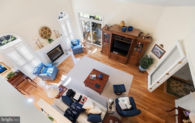 living area featuring a glass covered fireplace, a towering ceiling, wood finished floors, and a wealth of natural light