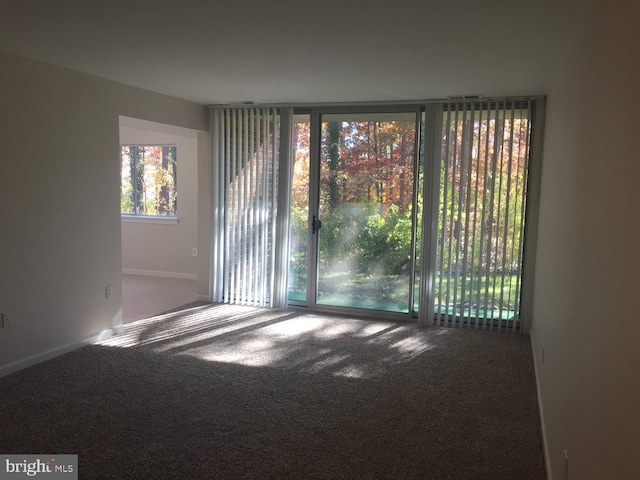 view of carpeted empty room