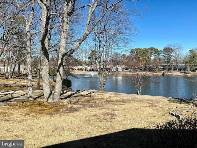water view