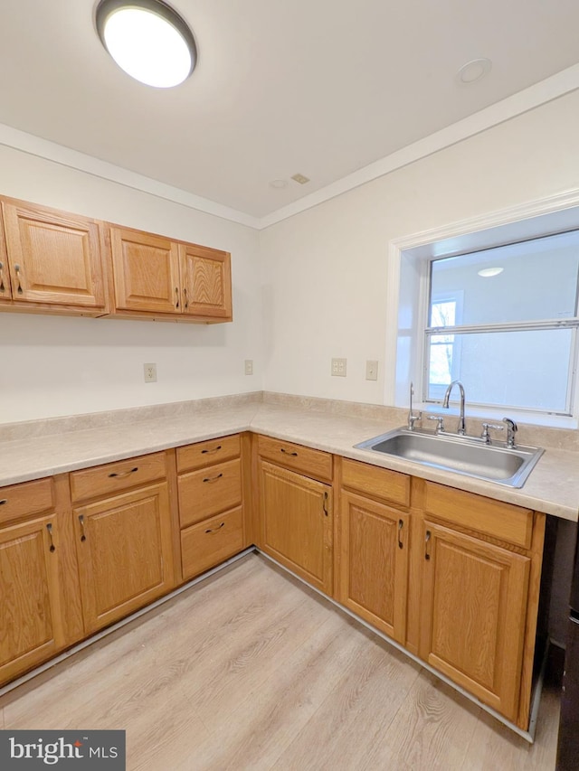 kitchen with light wood-type flooring, ornamental molding, light countertops, and a sink