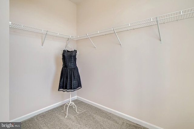 spacious closet with carpet floors