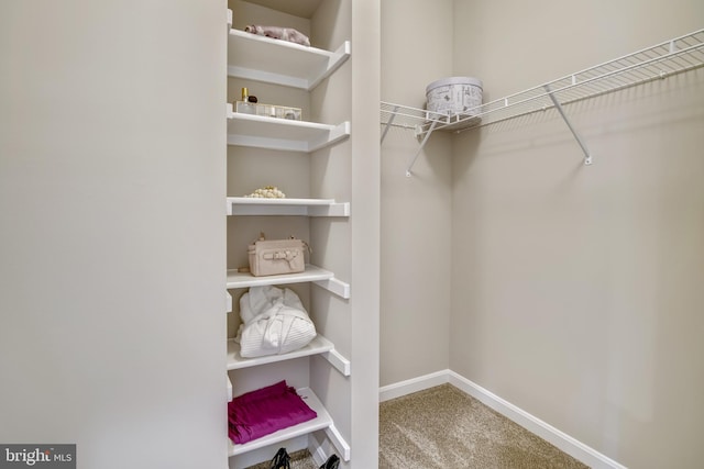 spacious closet with carpet