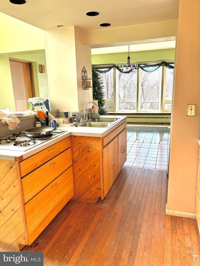 kitchen featuring wood-type flooring, light countertops, a sink, and plenty of natural light