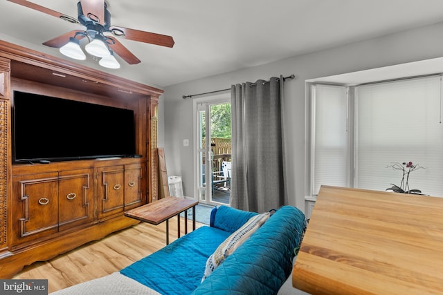 living room with ceiling fan and light wood-type flooring