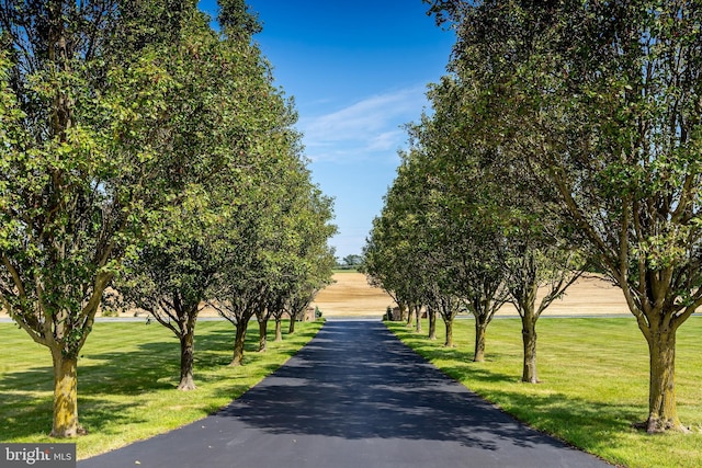 180 Featherbed Ln, Pilesgrove, NJ 08098 - view of road