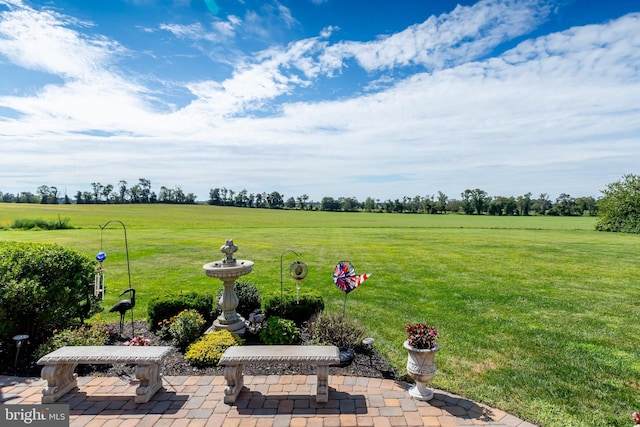 180 Featherbed Ln, Pilesgrove, NJ 08098 - view of yard with a patio and a rural view