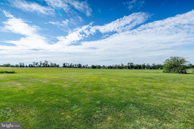 180 Featherbed Ln, Pilesgrove, NJ 08098 - view of yard featuring a rural view
