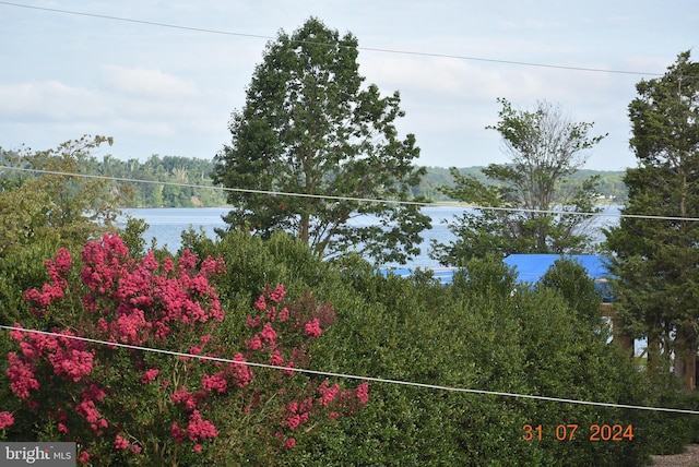 31 Riverview Ave, Chesapeake City, MD 21915 - water view
