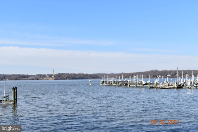 dock area featuring a water view