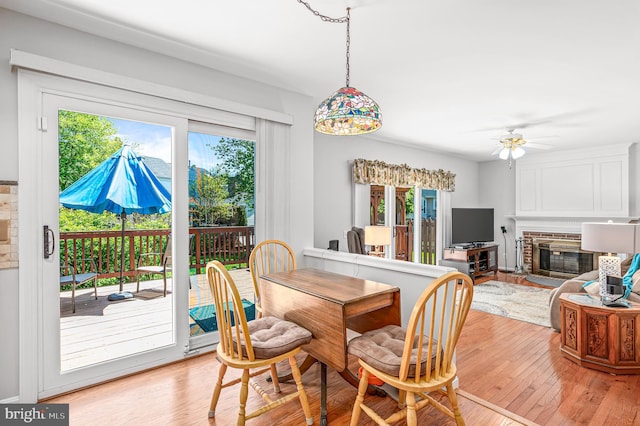 dining room with a healthy amount of sunlight, a fireplace, and light wood finished floors