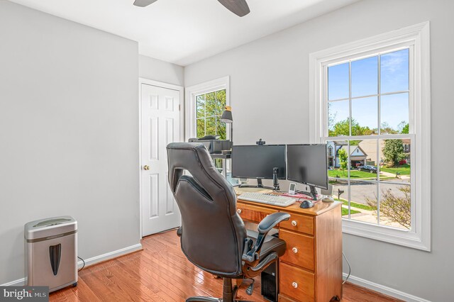 office with baseboards, ceiling fan, and light wood-style flooring