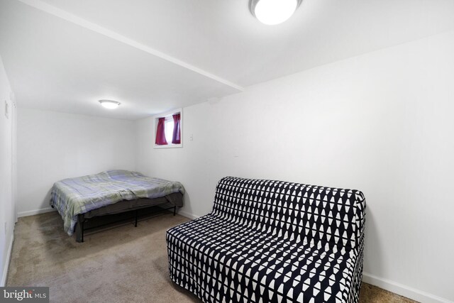 bedroom with baseboards and carpet floors
