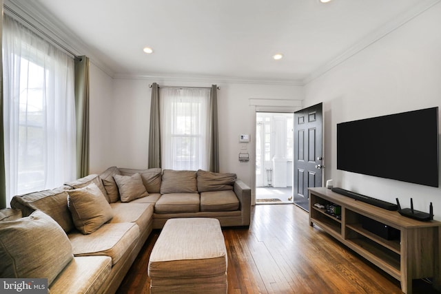 living room with a wealth of natural light, dark wood-style flooring, and ornamental molding