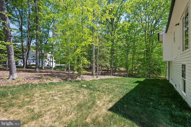 99 Boundary Dr, Stafford, VA 22556 - view of yard