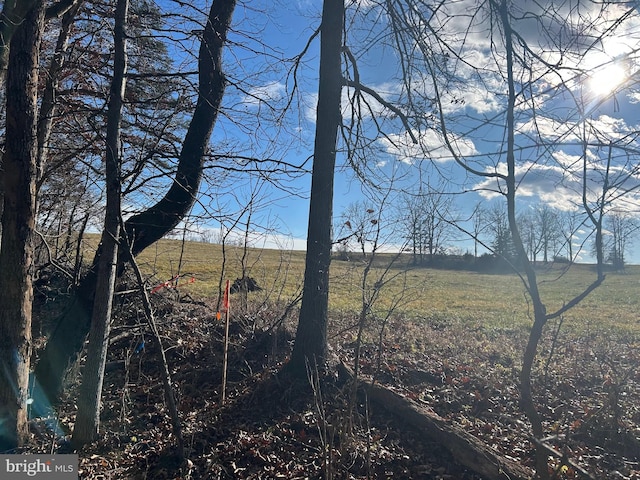 122B Garber, Mount Jackson, VA 22842 - property view of water