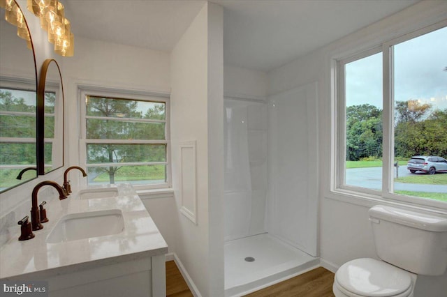 bathroom with toilet, double vanity, plenty of natural light, and a sink