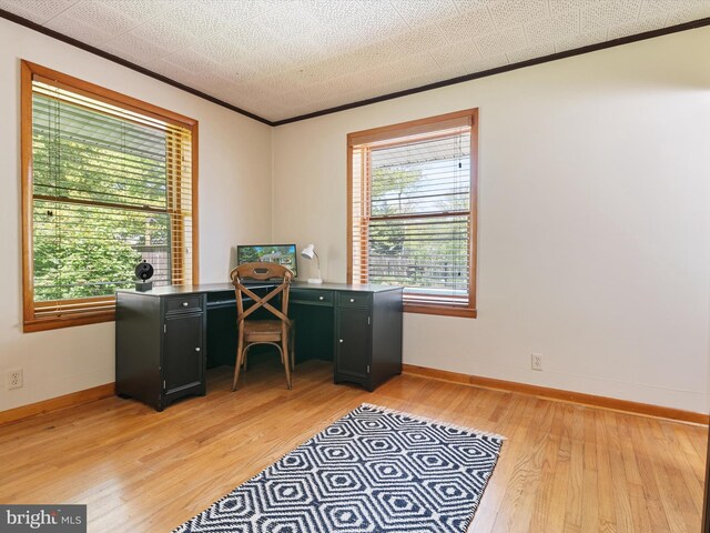office with baseboards, ornamental molding, light wood finished floors, and a healthy amount of sunlight