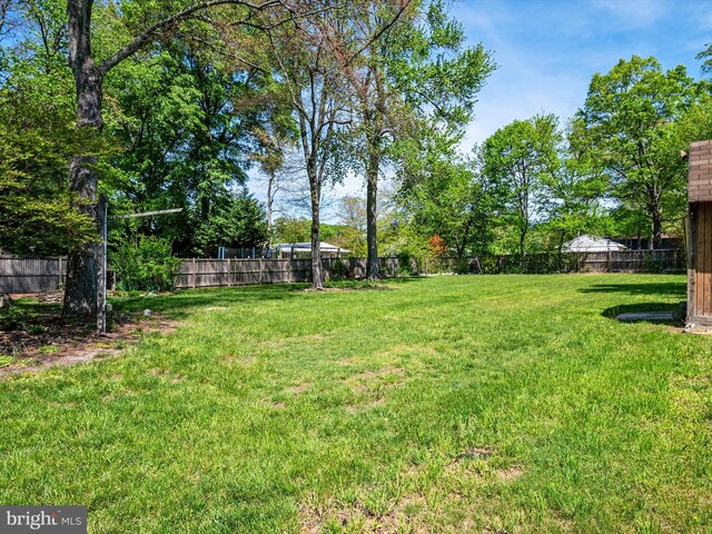view of yard featuring a fenced backyard