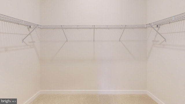 128 Sadie Way, Arnold, MD 21012 - walk in closet featuring carpet