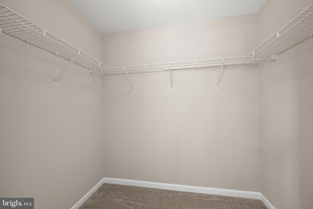 10023 Iron Pointe Drive Ext Unit 201B2, Millsboro, DE 19966 - spacious closet with carpet flooring