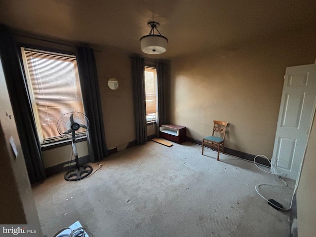 interior space with light carpet and baseboards