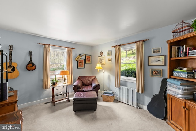 1460 Pitcock Ln, Winchester, VA 22602 - sitting room with radiator heating unit, plenty of natural light, light carpet, and baseboards