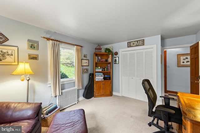 1460 Pitcock Ln, Winchester, VA 22602 - office area featuring baseboards, radiator, and light colored carpet
