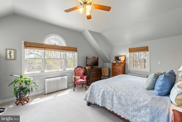 1460 Pitcock Ln, Winchester, VA 22602 - carpeted bedroom with radiator heating unit, multiple windows, and lofted ceiling