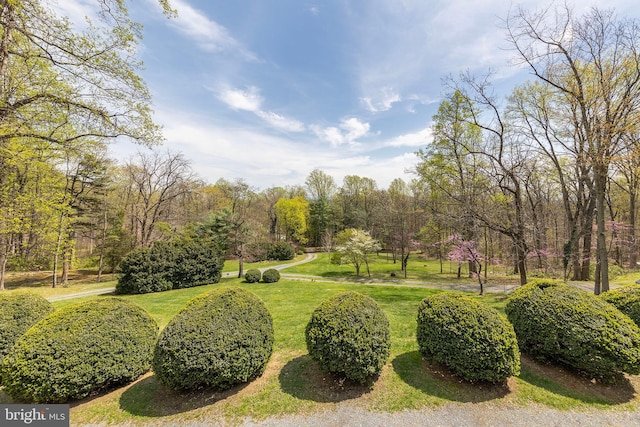 1460 Pitcock Ln, Winchester, VA 22602 - surrounding community featuring a yard