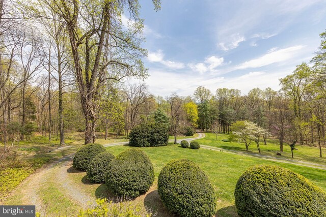 1460 Pitcock Ln, Winchester, VA 22602 - view of community with a lawn