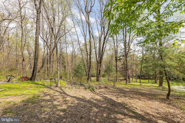 1460 Pitcock Ln, Winchester, VA 22602 - view of yard with a forest view
