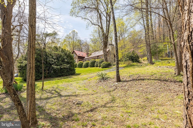 1460 Pitcock Ln, Winchester, VA 22602 - view of yard
