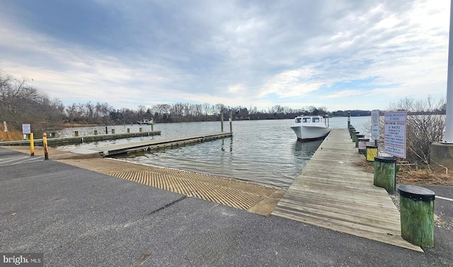 dock area with a water view