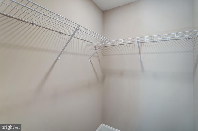 751 Bowie Shop Rd, Huntingtown, MD 20639 - view of walk in closet