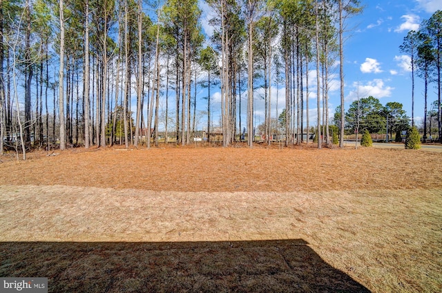 751 Bowie Shop Rd, Huntingtown, MD 20639 - view of yard