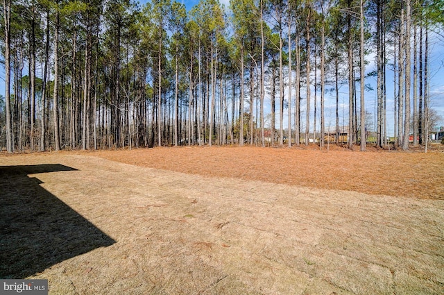 751 Bowie Shop Rd, Huntingtown, MD 20639 - view of yard