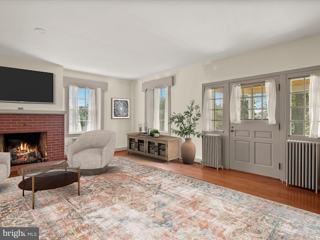 8805 Reichard Rd, Fairplay, MD 21733 - living room with radiator and plenty of natural light