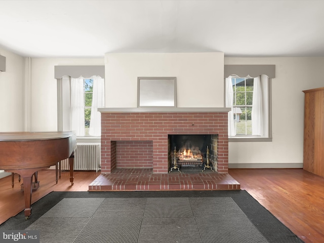 8805 Reichard Rd, Fairplay, MD 21733 - living area featuring radiator heating unit, a fireplace, wood finished floors, and plenty of natural light