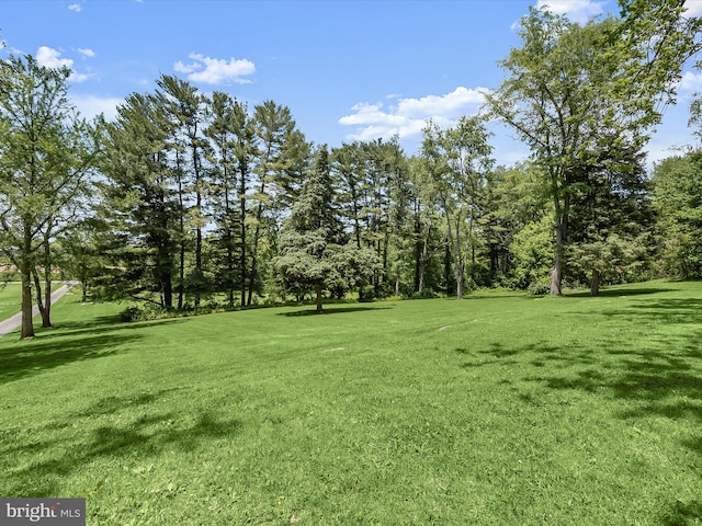 8805 Reichard Rd, Fairplay, MD 21733 - view of grassy yard