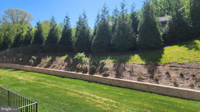 126 Sadie Way, Arnold, MD 21012 - view of yard