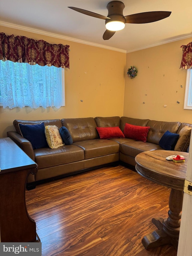 10020 Dakin Ct, Cheltenham, MD 20623 - living room with crown molding, a ceiling fan, and wood finished floors