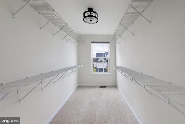 walk in closet with carpet floors