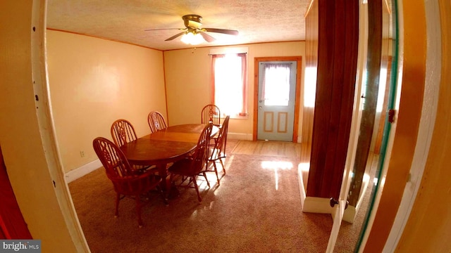 8354 Cumberland Rd, Springfield, WV 26763 - dining area with a textured ceiling, carpet, baseboards, ornamental molding, and a ceiling fan